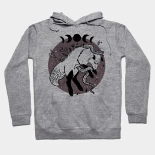 Fox Jumping, Snake, Moon Phases, Nature, And Gemstones Hoodie